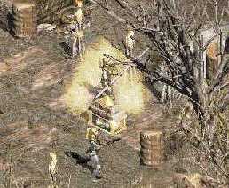 D2X_110_Goldkiste.jpg(14 kb)